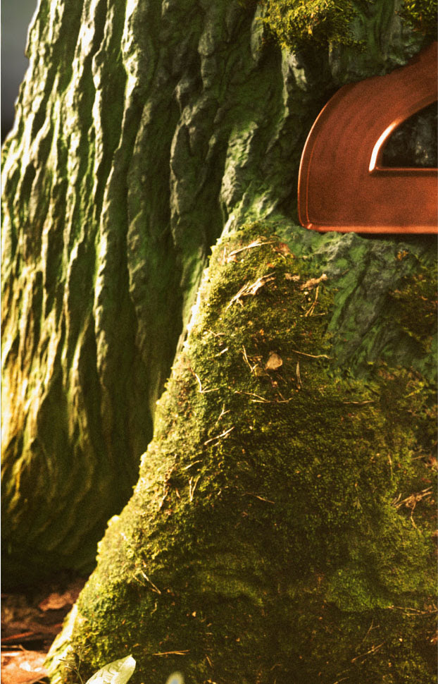 macallan photorealistic cgi tree trunk and foliage