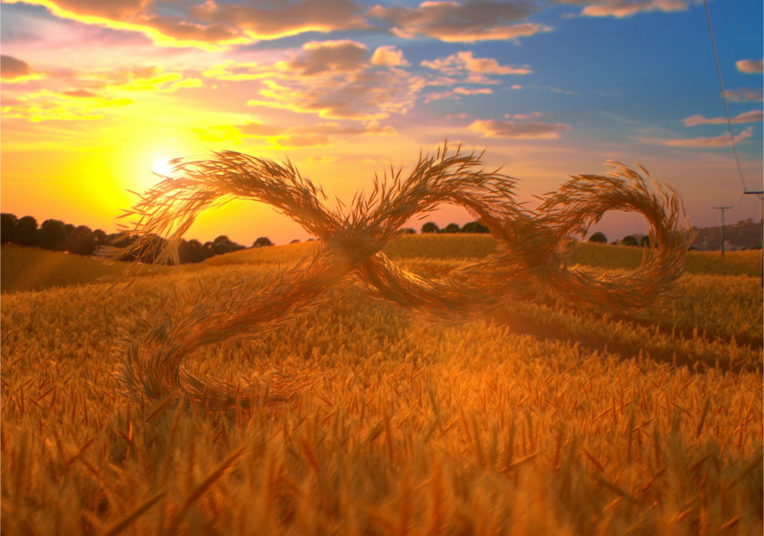 macallan photorealistic cgi wheatfield